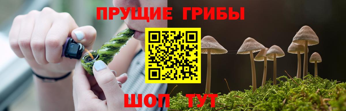 Галлюциногенные грибы MAGIC MUSHROOMS  Псилоцибиновые грибы ЛСД  Новоалтайск  купить наркотики цена  Вход с VPN 